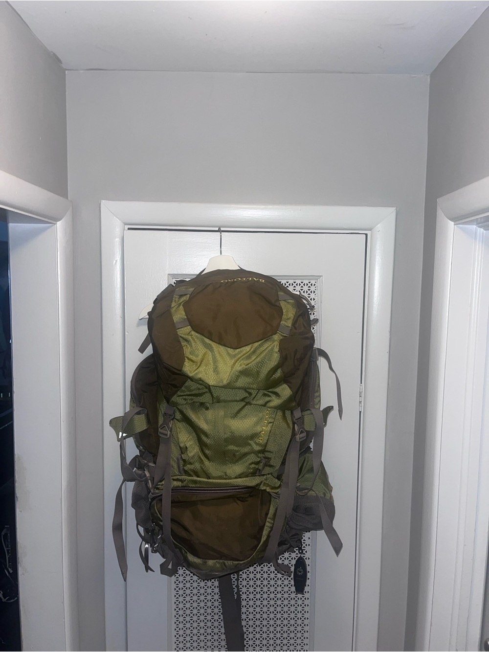 Gregory Baltoro 65L Backpacking Pack
